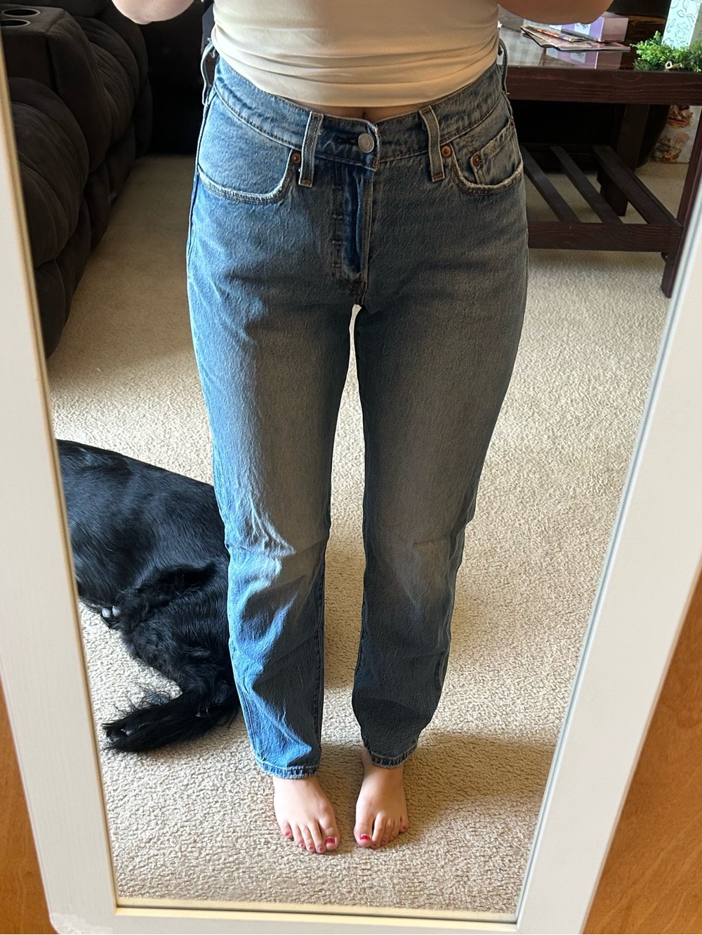Levi's 501 Curve in Medium Blue